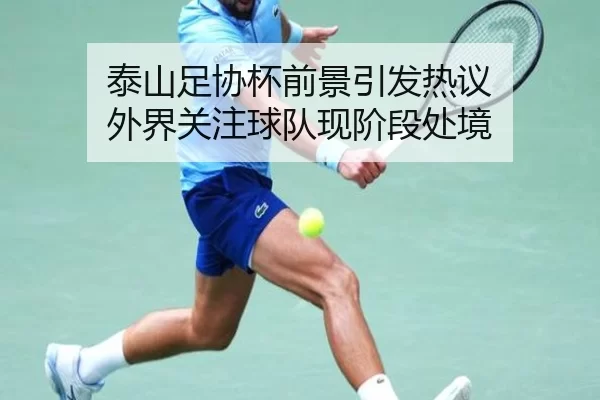 泰山足协杯前景引发热议 外界关注球队现阶段处境